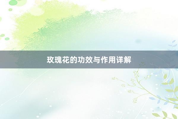 玫瑰花的功效与作用详解