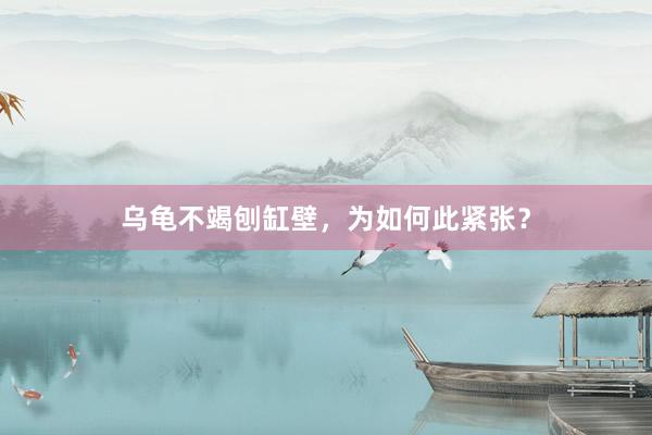 乌龟不竭刨缸壁，为如何此紧张？